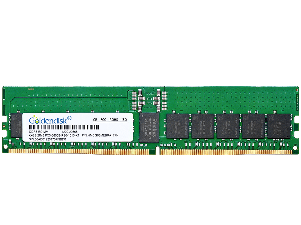 DDR5 PC RAM(Server)
